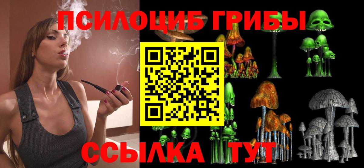 купить наркоту  Вход с VPN  Городец  Галлюциногенные грибы Magic Shrooms 